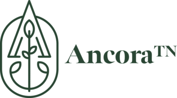 AncoraTN Logo